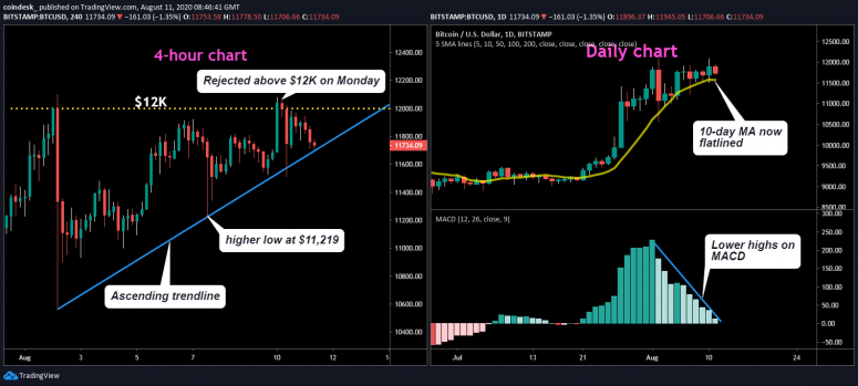 btc-charts-cms